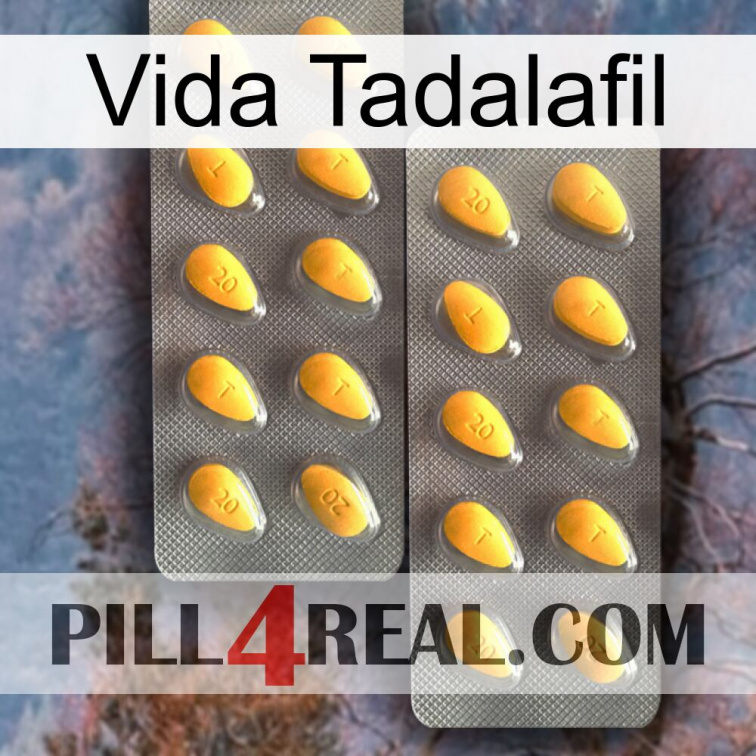 Vida Tadalafil cialis2